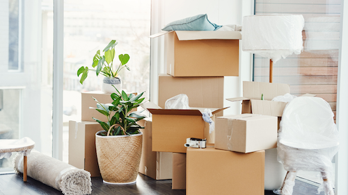 Packing & Moving